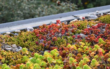 the cost of Wibdon green roof installation