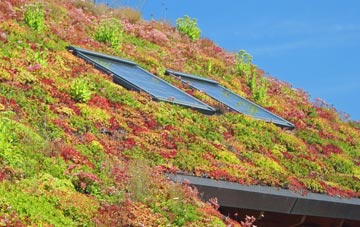 Wibdon living roof systems